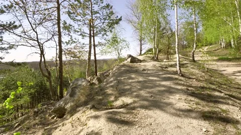 A forest path leads to the mountain. Stock Footage 192000283