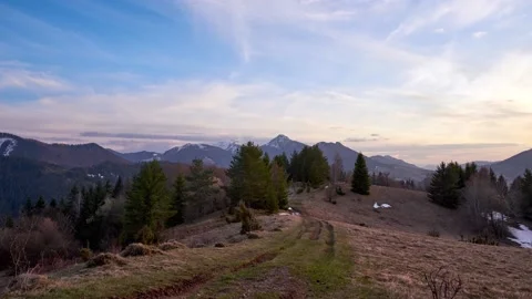 Forest path on a meadow at the edge of a forest in a mountain spring landscape Stock Footage 186496421
