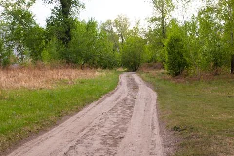 Forest path in mist. Forest trail view Stock Photos