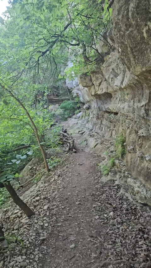 Forest Path on a nature trail in Austin Texas Stock Footage 308976309