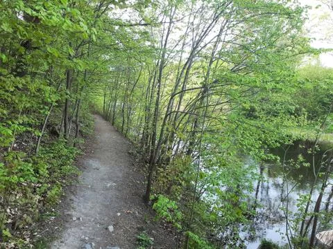A forest path near the river Stock Photos