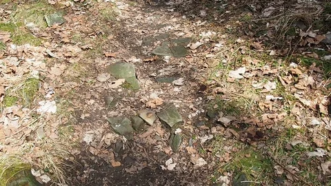 Forest path from a personal perspective walking. Stock Footage 90528048