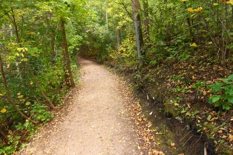Forest path Stock Photos