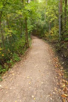Forest path Stock Photos