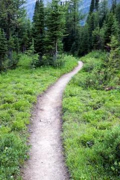 Forest path Foto stock