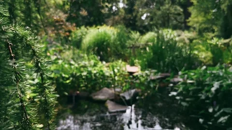 Forest, path, road, nature, trees, tree, green, landscape, park, woods, summer, Stock Footage 247080305