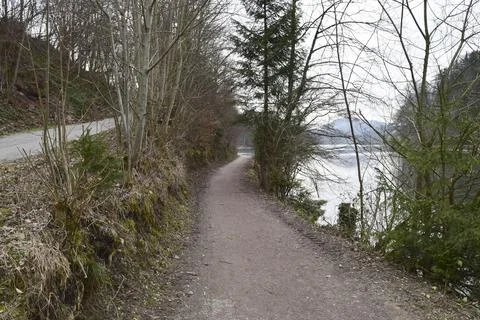 Forest path running along tranquil swiss lake Stock Photos