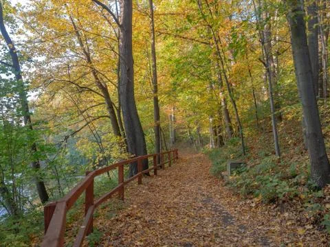 Forest path separated with wooden railing from riverbank. Stock Photos
