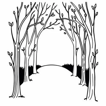 Forest Path Sketch Framed by Leafy Trees Stock Illustration
