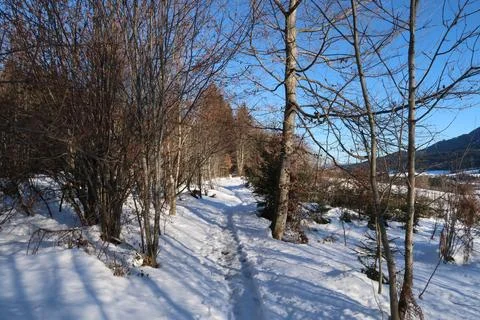 Forest path in the snow close to Wertach, Allgau, Germany Stock-Fotos