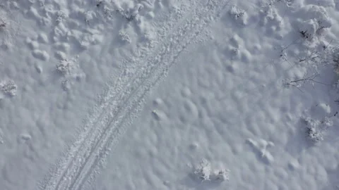 Forest path snowed by early December 4K drone video Stock Footage 100985051