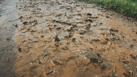 A forest path soaked in the rain. A stream runs through the clay trail Stock Footage 275565096