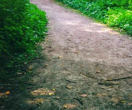 Forest path soil among grass close up toned design Stock Photos