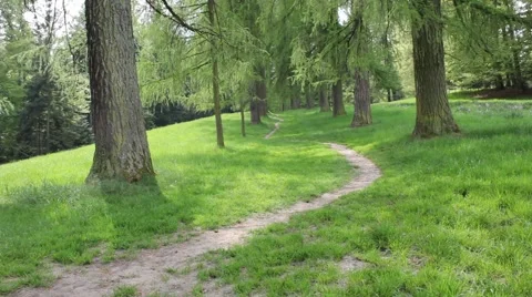Forest path at spring with camera motion Video stock 4336865