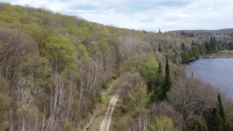 Forest Path Takeoff and Lake Stock Footage 158118954