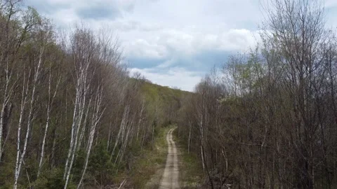Forest Path Takeoff Stock Footage 158118683