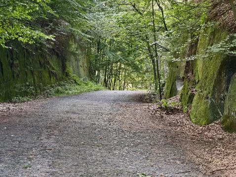 Forest path through mossy rock walls: narrow gravel trail surrounded by gre.. Stock Photos