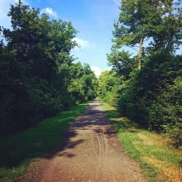 Forest Path Through Woods Fotos de archivo