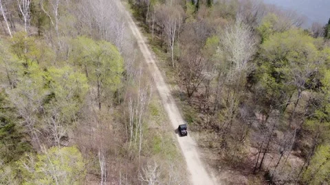 Forest Path Truck Tracking Shot and Zoom Out to a Lake and Mountains Stock Footage 158118938