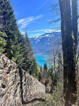 Forest Path With View Over Lake and Alps at Harder Kulm, Interlaken Foto stock