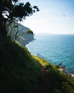 Forest path with views of the ocean and cliffs Foto stock
