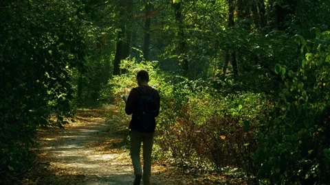 Forest path walk, man hiking alone, peaceful nature trail Video stock 311756348