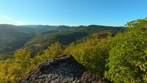 Forest path winds through golden leaves. Boracki krs Serbia 動画素材 345005104