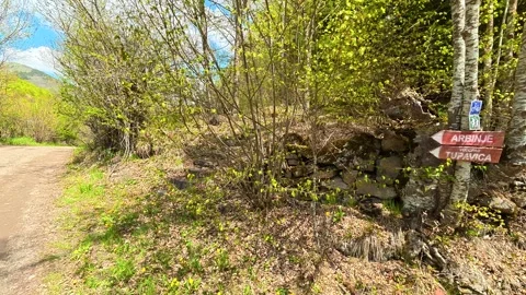 Forest path winds through green undergrowth. Tupavica Waterfall, trail marker. Stock Footage 335532610