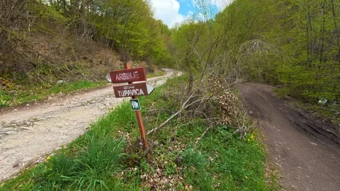 Forest path winds through green trees. Tupavica Waterfall, trail marker. Stock Footage 335532884