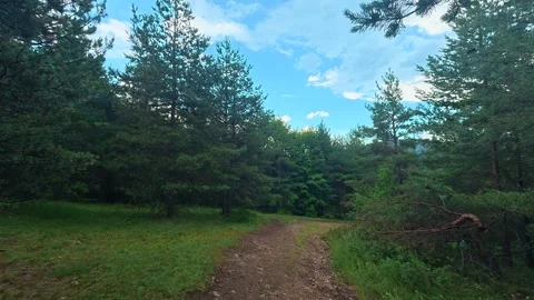 Forest path winds through green trees and grass. Kozji Kamen area, Serbia 스톡 동영상 341876115