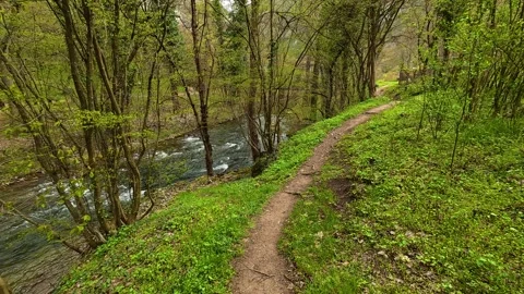 Forest path winds through lush greenery. Mount Ozren, Serbia Видео 332730013