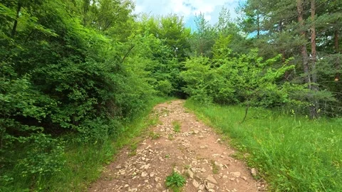 Forest path winds through lush green trees. Kozji Kamen area, Serbia 스톡 동영상 341874409