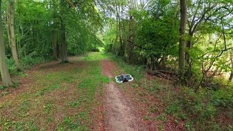Forest path winds through tall green trees. Dirt trail leads into lush, leafy Stock Footage 347125810