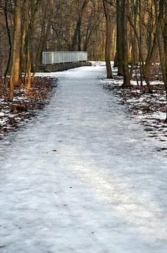 Forest path in winter Stock Photos