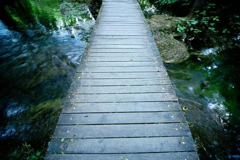 Forest path wooden deck Stock Photos
