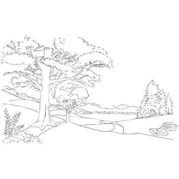 Forest with paths Stock Illustration