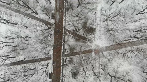 Forest paths in winter park, drone top view. Beautiful forest with path. Stock Footage 150364772