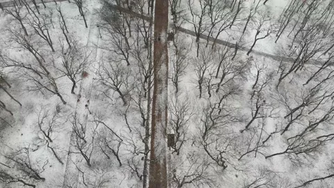 Forest paths in winter park, drone top view. Beautiful forest with path. Stock Footage 150364798
