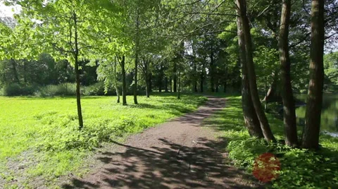 Forest pathway 스톡 동영상 35624928