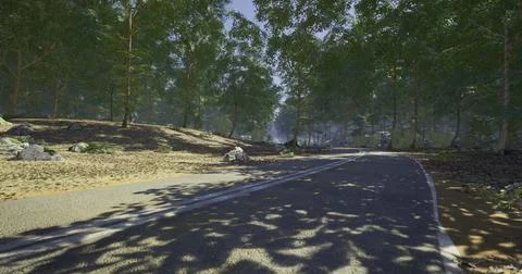 Forest pathway surrounded by trees under bright sunlight in the afternoon Stock Illustration