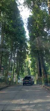 Forest patrol Stock Photos