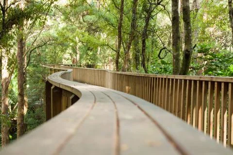 Forest pedestrian bridge Stock Photos