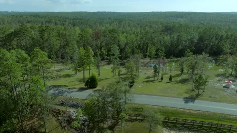 Forest in Pensacola Video stock 260860873