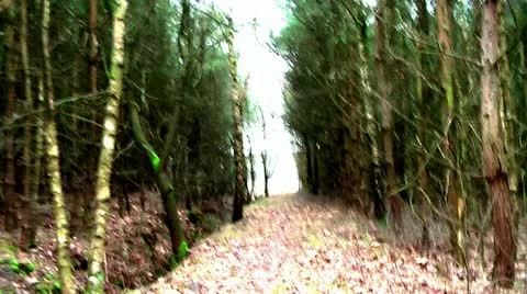 Forest People 03 Видео 11240549