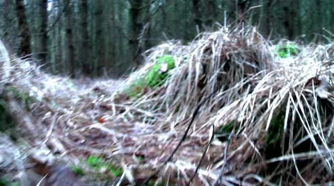 Forest People 05 Stock Footage 11240139