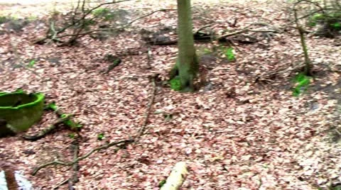 Forest People 15 Stock Footage