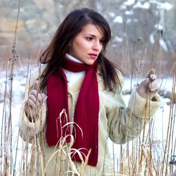 In the forest Stock Photos