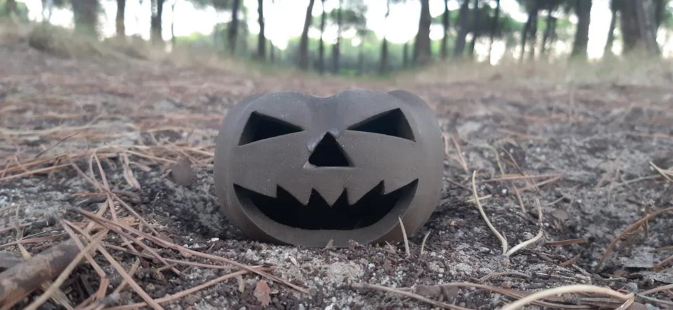 A forest Stock Photos