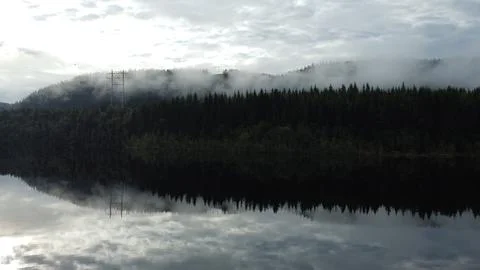 Forest  Stock Photos