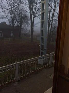 Forest 스톡 사진